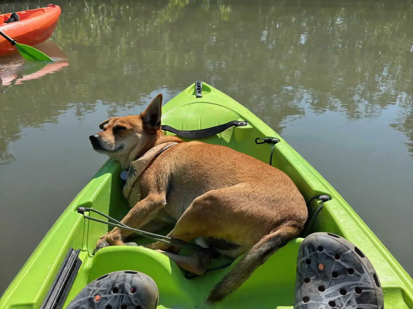 Captain JJ relaxing