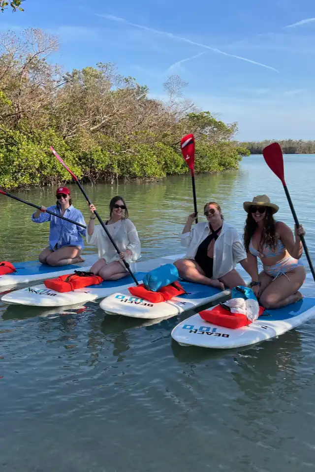 Paddle board rental