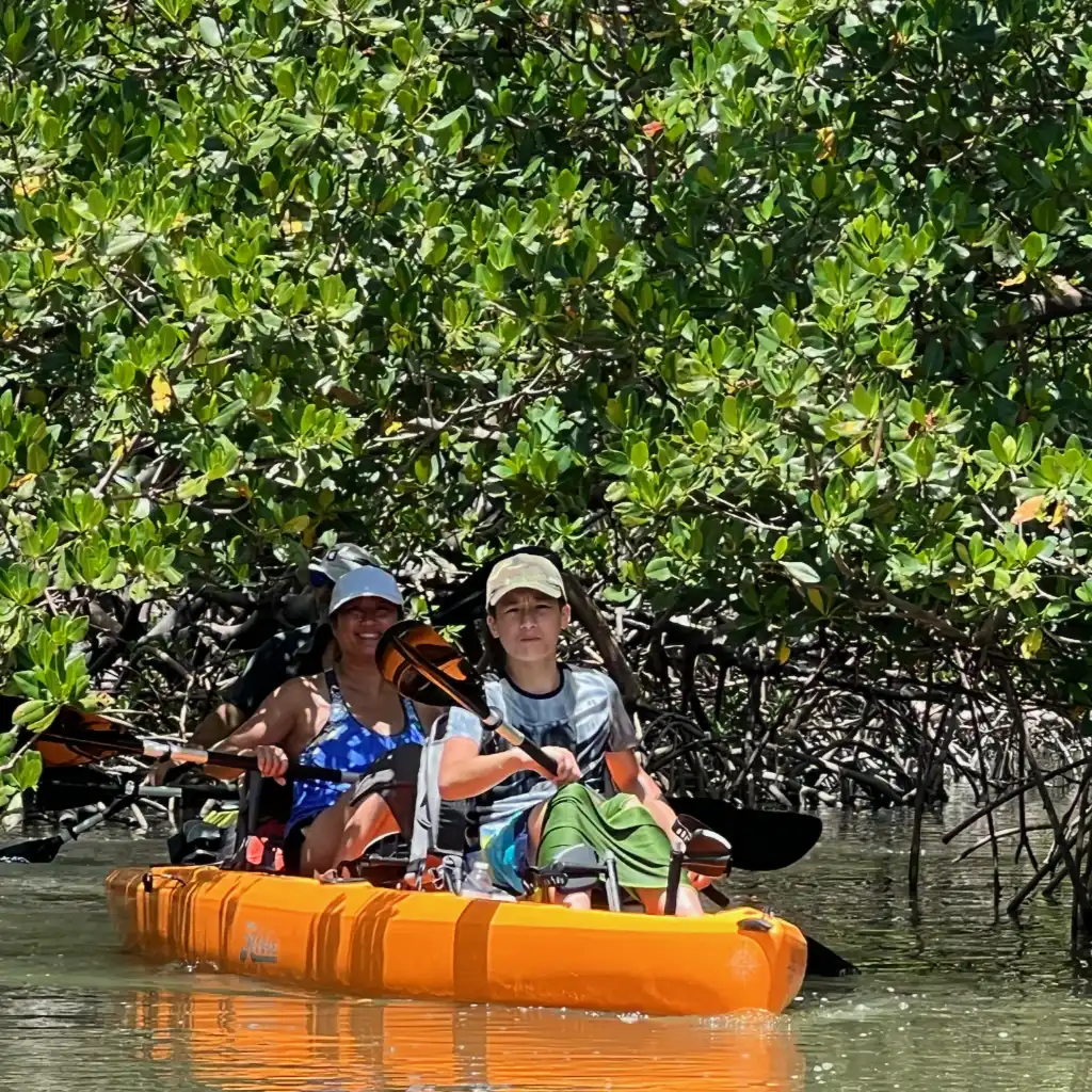 people on kayaking tours