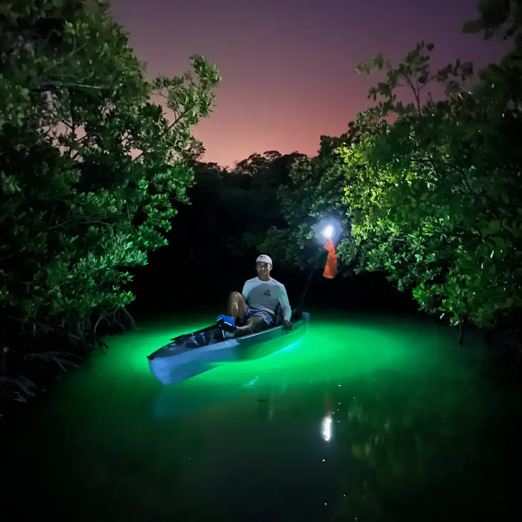 Sunset Kayak Tour with LED lights, illuminate a mangrove tunnel