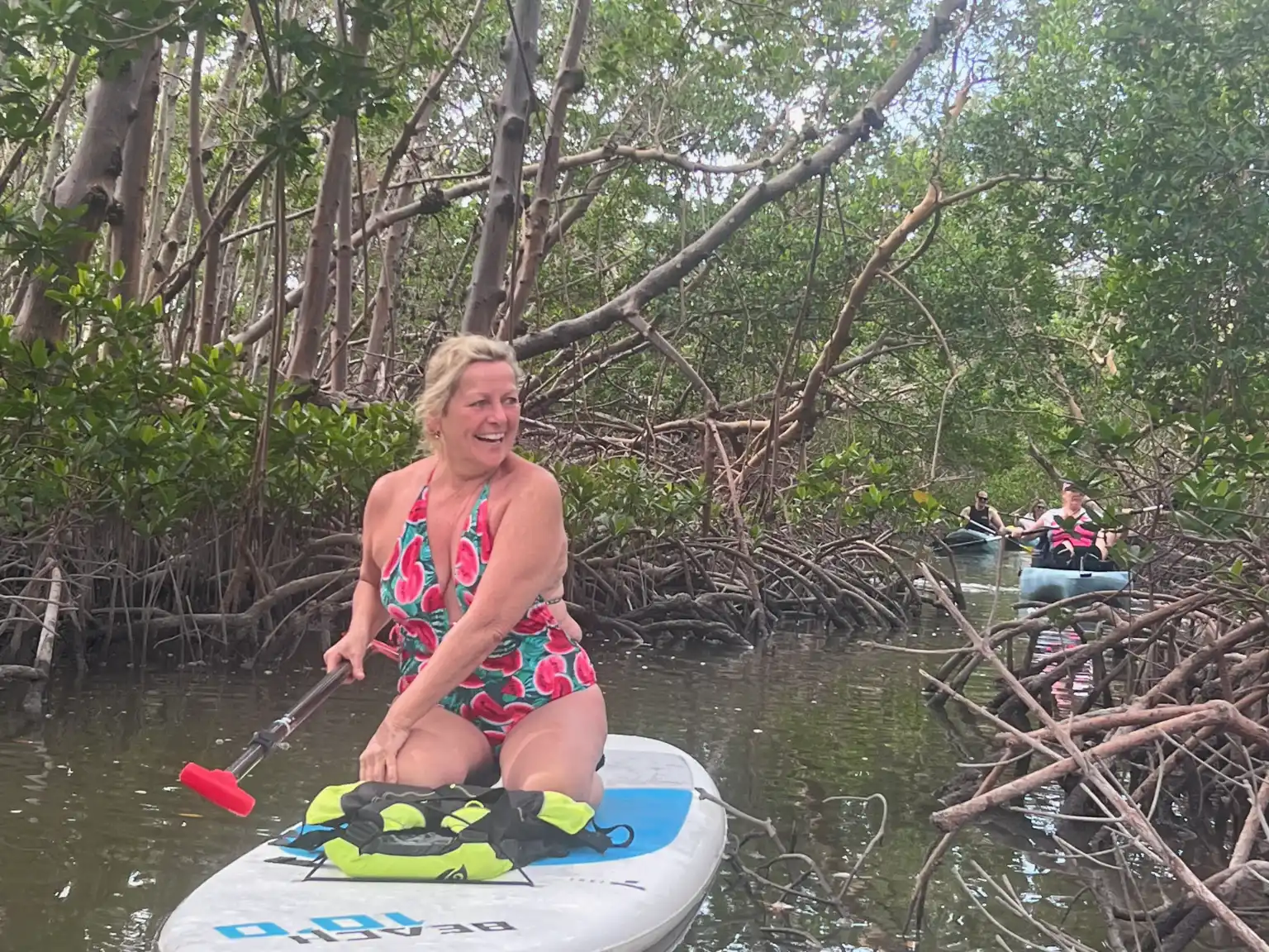 Paddle Board Tour Mangrove Tunnel