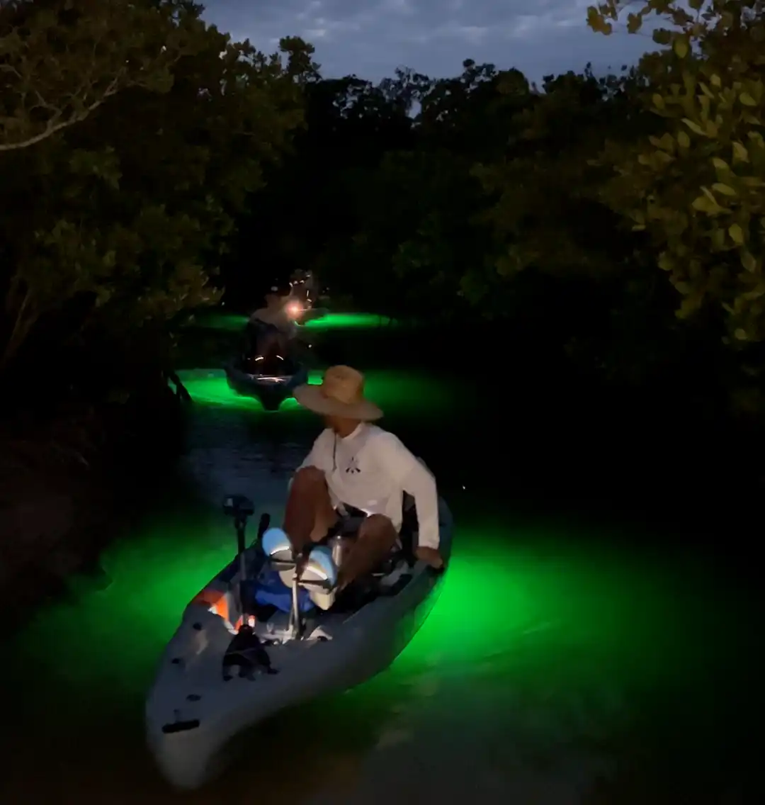 glow led sunset kayak tour mangrove tunnel