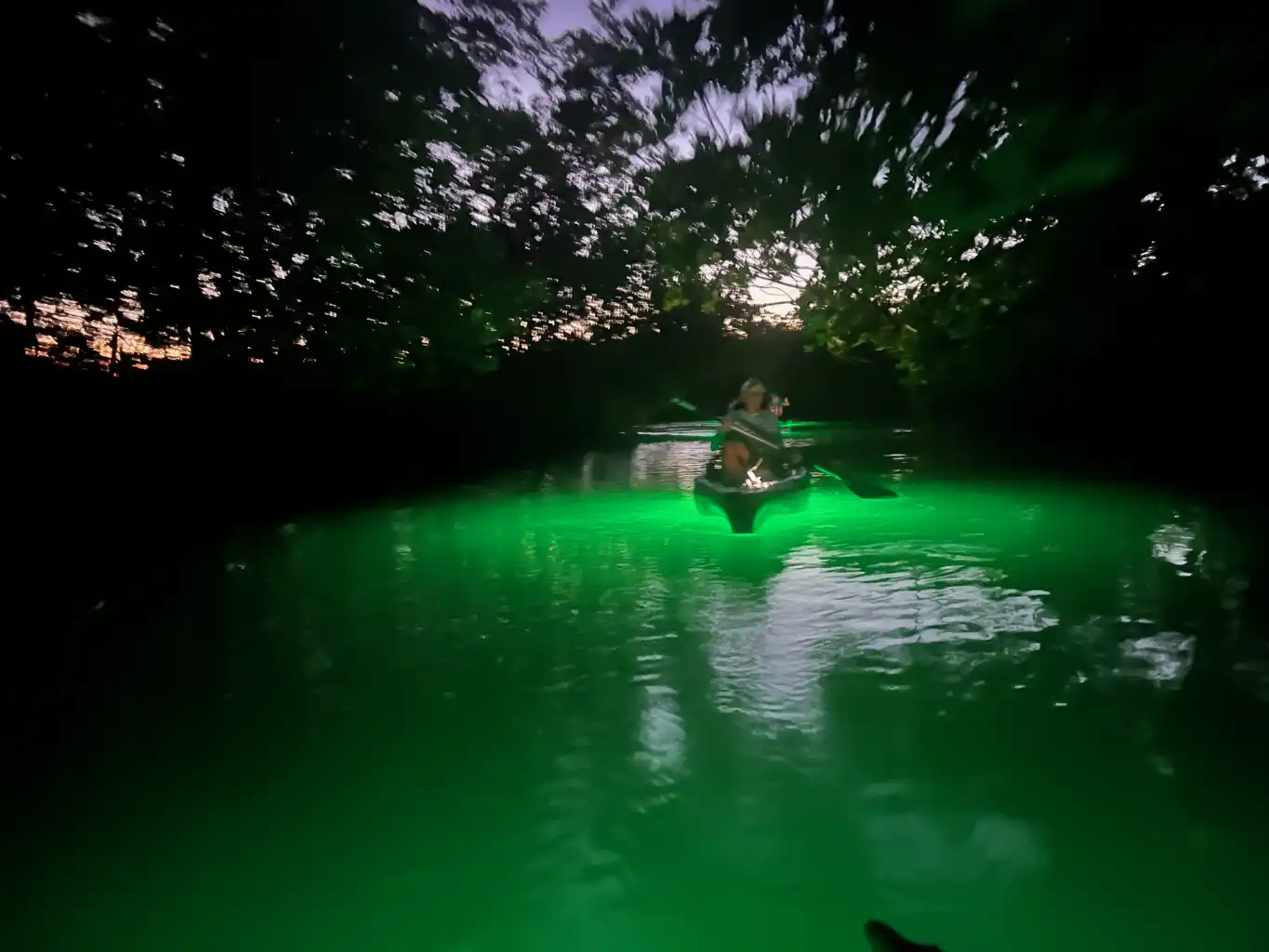 glow led sunset kayak tour mangrove tunnel lit up