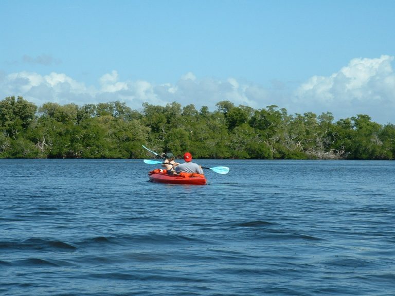Guided_Kayak_Nature_Tours_paddling_on_Estero_Bay